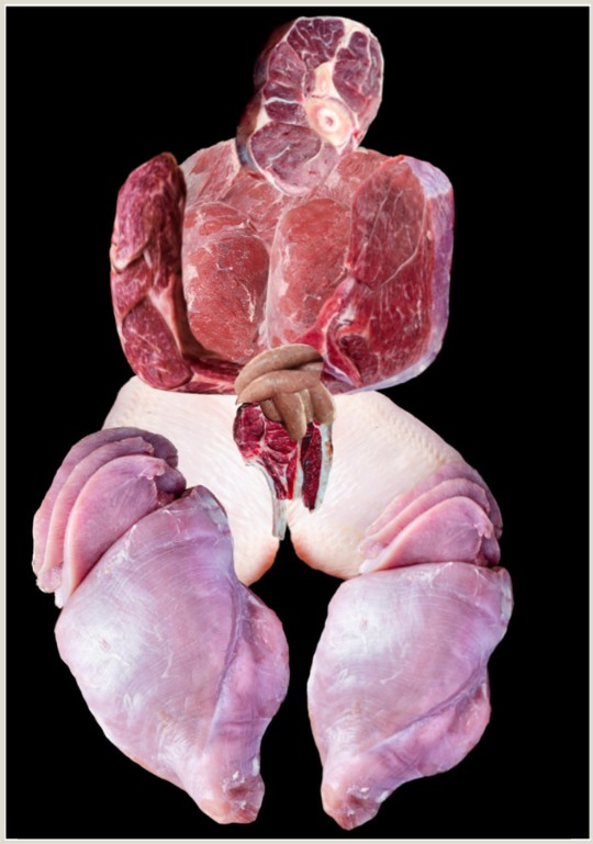 Corpo Animal I, Collage impreso