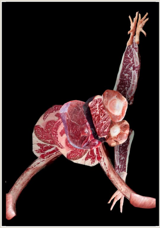 Corpo Animal III, Collage impreso