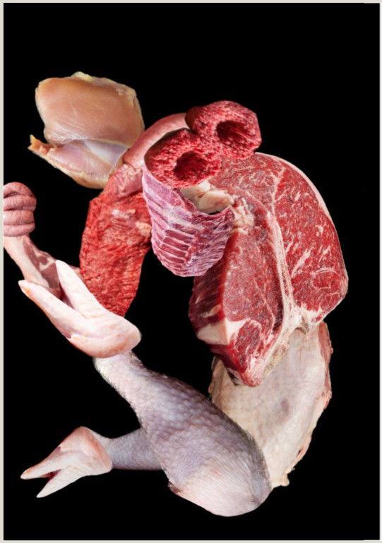 Corpo Animal IV, Collage impreso