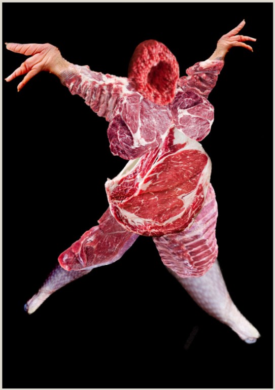 Corpo Animal V, Collage impreso