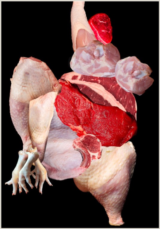 Corpo Animal VI, Collage impreso