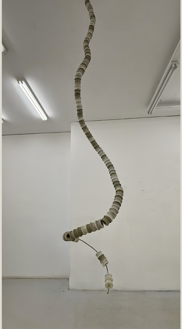 Vertebral, Repuestos de máquina de hilado